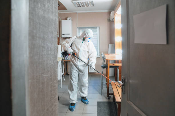 Best Mold Remediation for Vacation Homes  in USA